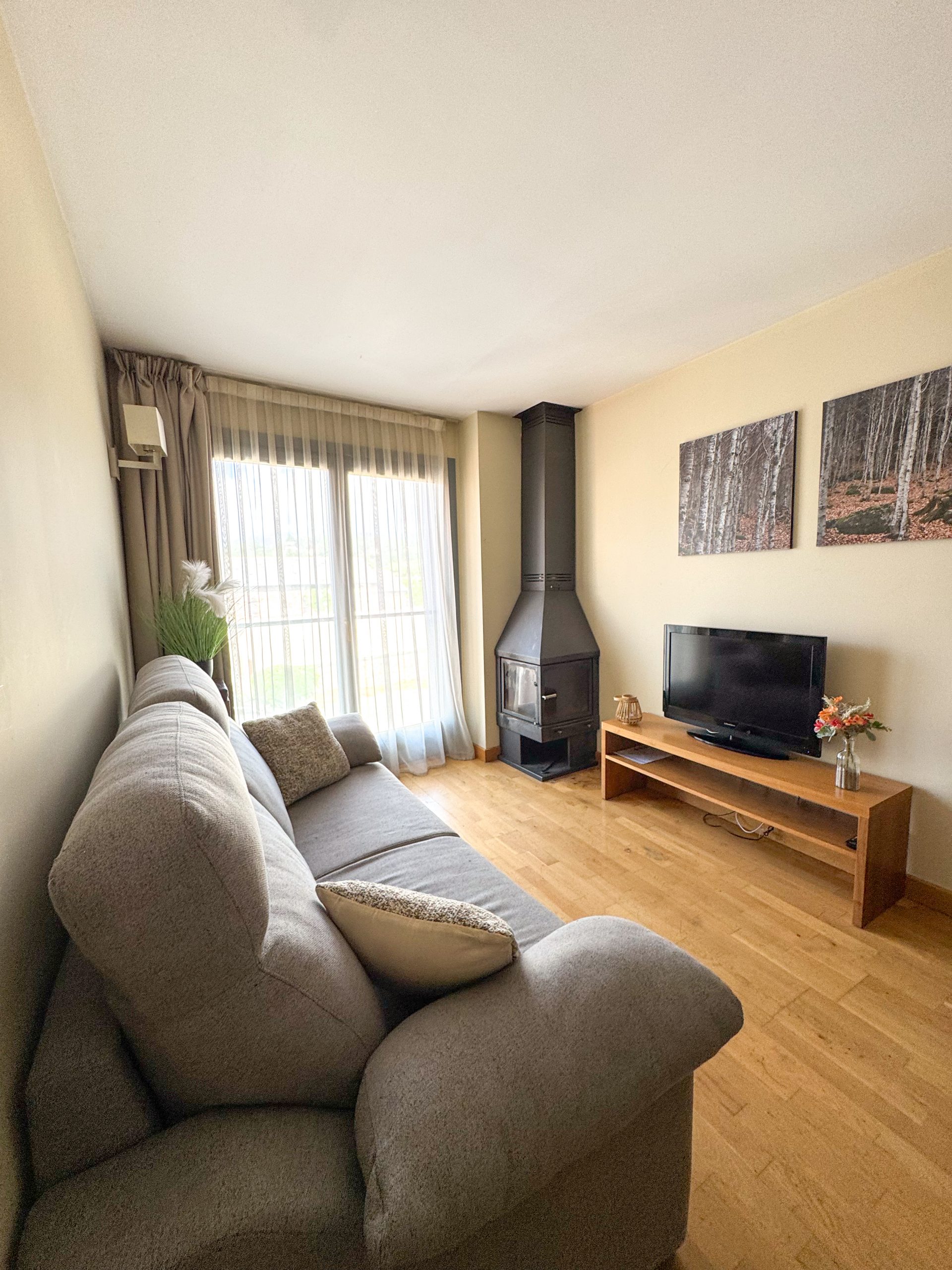 Salon avec canapé, télévision, table basse et baie vitrée dans un appartement lumineux de l’Appart'hôtel Cerdanya.